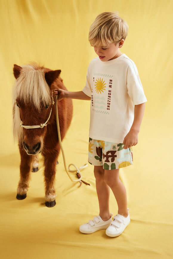 Abstract Print Short  Abstract Print  hi-res