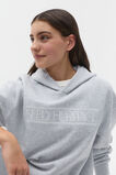 Embroidered Hoodie  Cloud Grey Marle  hi-res