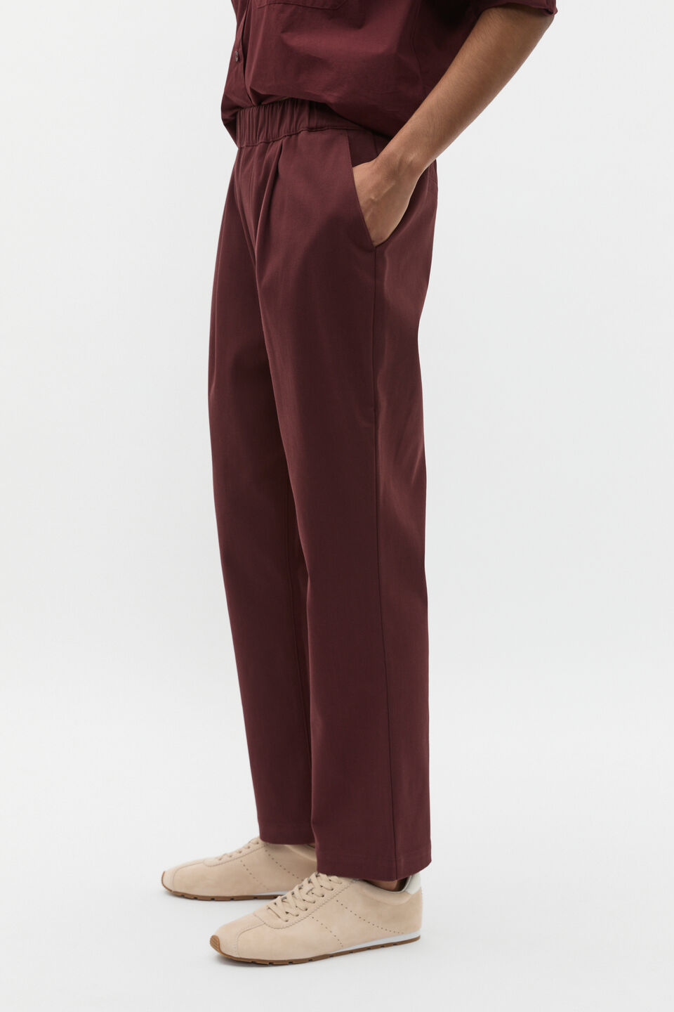 Tapered Leg Pleat Front Pant  Merlot