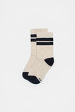 Stripe Sock  Navy  hi-res