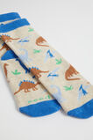 Dino Sock  Multi  hi-res