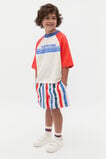 Bold Stripe Short  Multi Stripe  hi-res