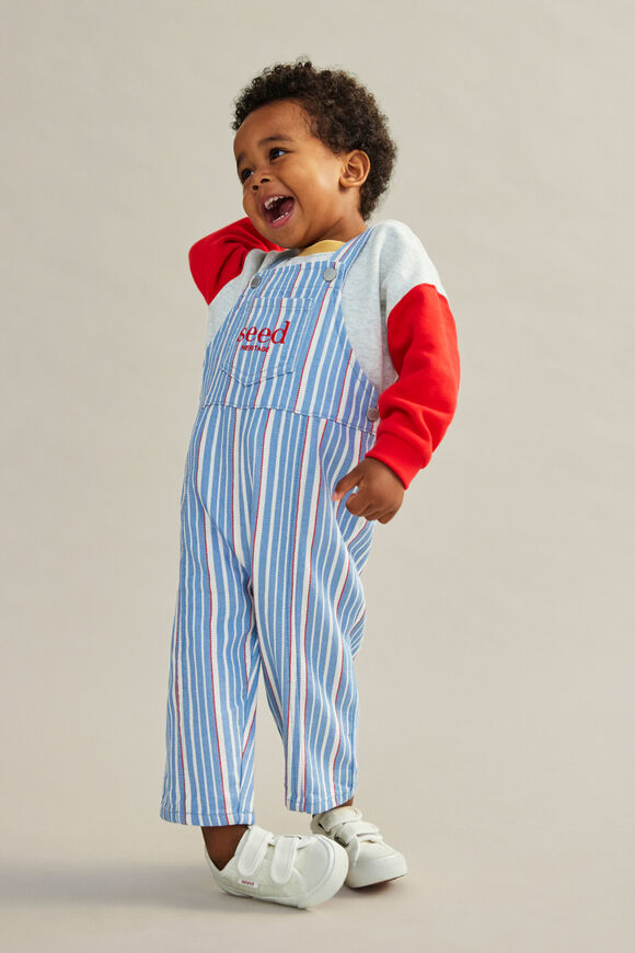 Stripe Logo Overall  Multi  hi-res