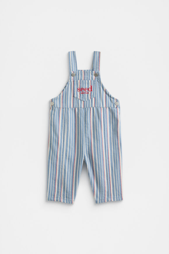 Stripe Logo Overall  Multi  hi-res