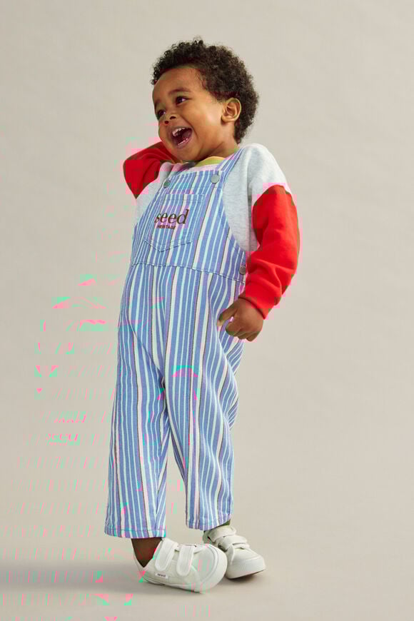 Stripe Logo Overall  Multi  hi-res