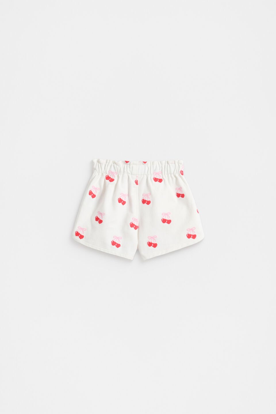 Embroidered Denim Short  Canvas