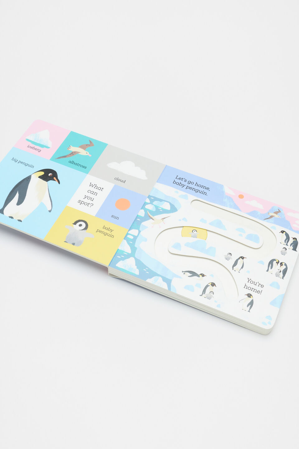 Baby Penguin Let's Go Home Book  Multi