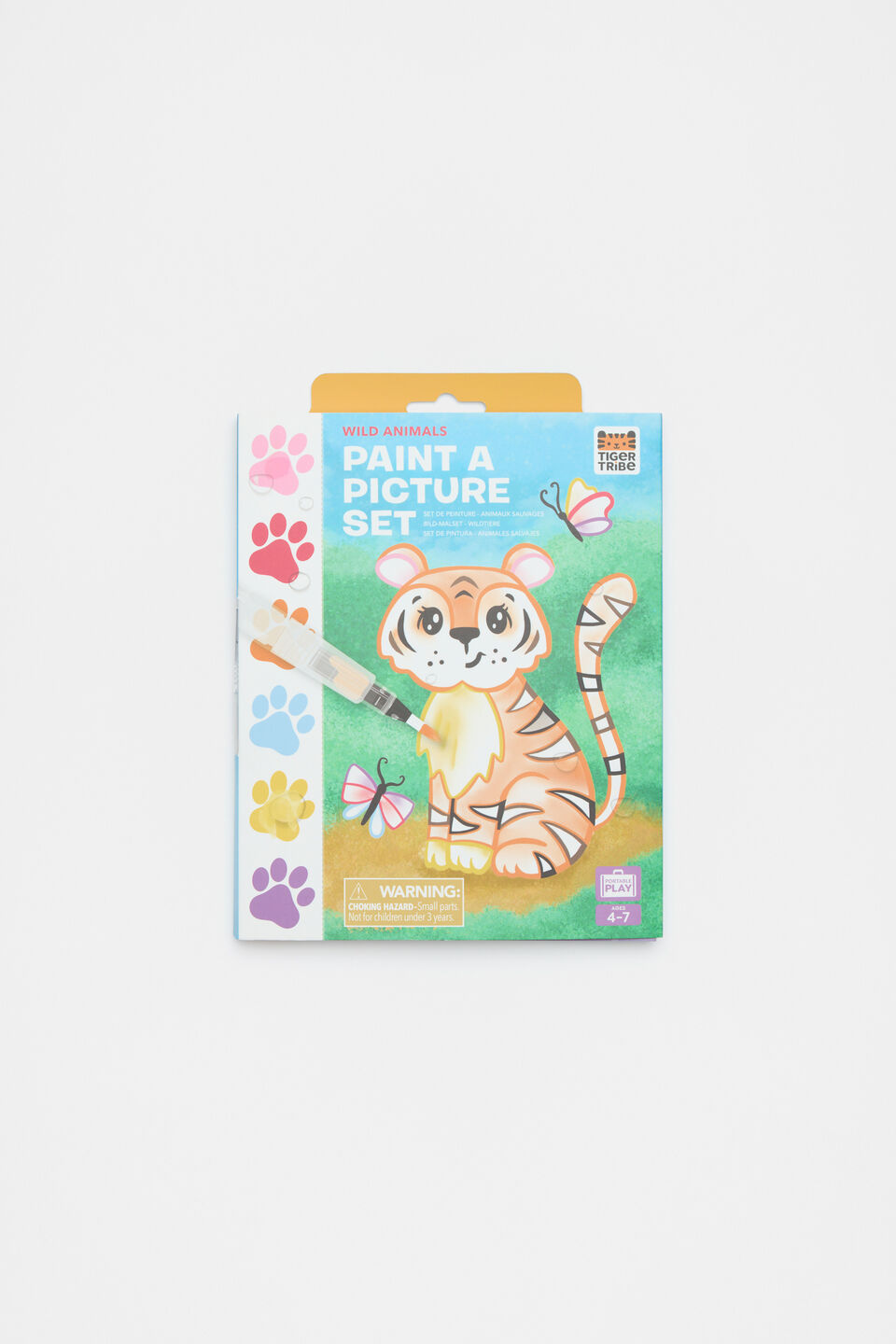 Paint a Picture Wild Animals  Multi