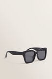 Blake D-Frame Sunglasses    hi-res