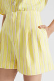 Multi Stripe Short  Lemon Drop Stripe  hi-res