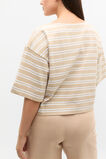 Cotton Boxy Split Hem Tee  Ecru Stripe  hi-res
