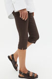 Capri Pant  Dark Espresso  hi-res