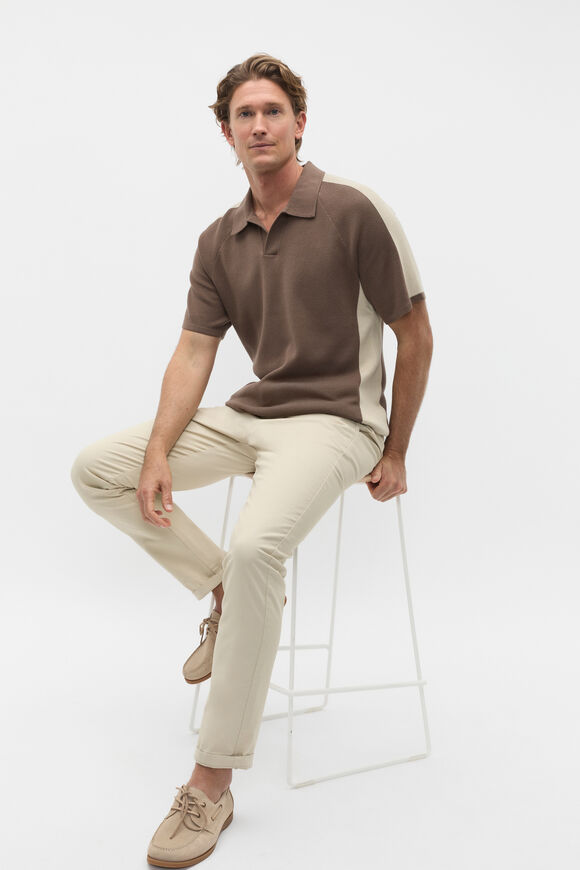 Colourblock Trophy Polo  Cocoa  hi-res