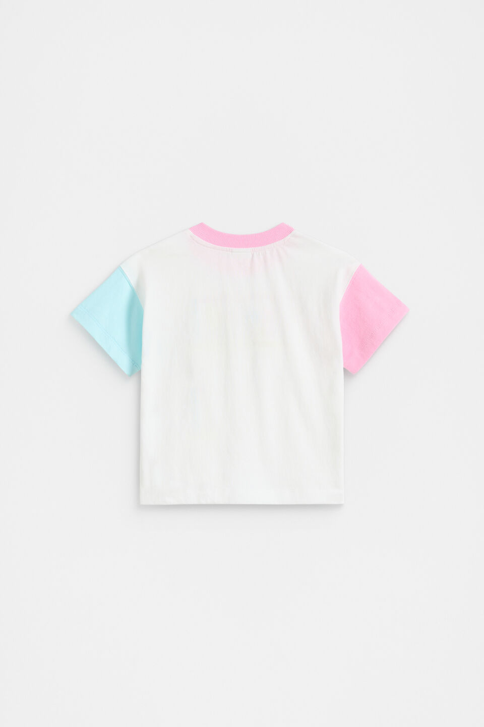 Colourblock Logo Tee  Canvas