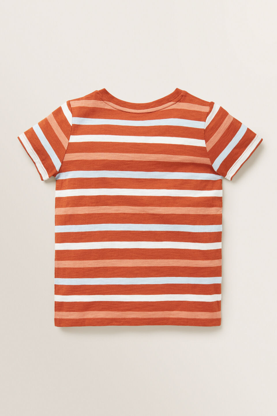 Multi Stripe Tee  