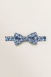 Paisley Bowtie    hi-res