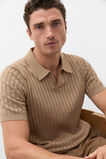 Stripe Cotton Knit Polo  Dark Stone  hi-res