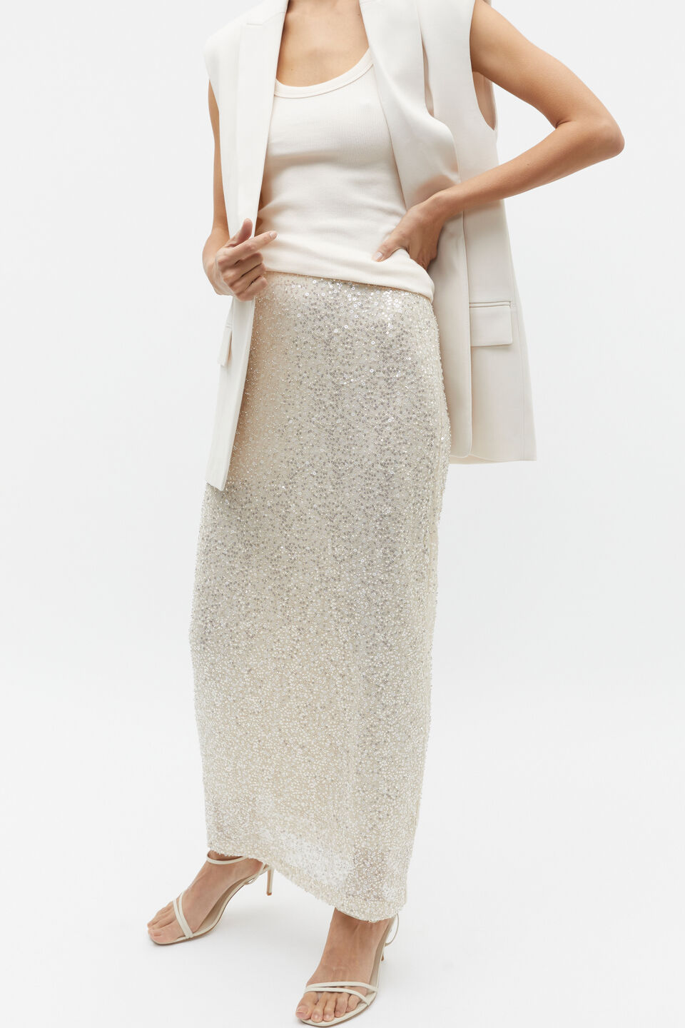 Sequin Mesh Skirt  Frappe
