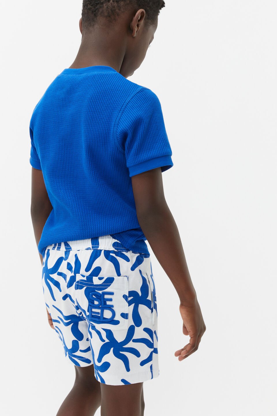 Starfish Short  Canvas