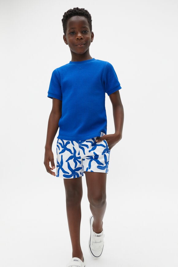 Starfish Short  Canvas  hi-res