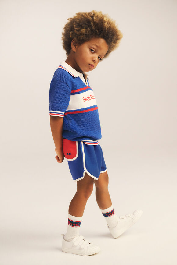 Sock 4 Pack  Blue Multi  hi-res