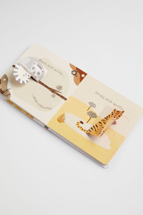 Big and Little Book  Multi  hi-res