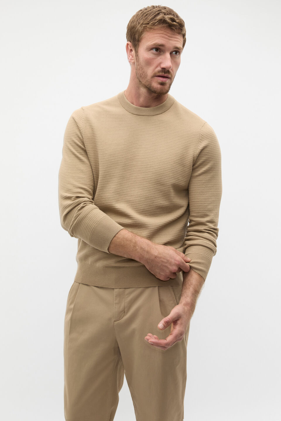 Ribbed Textured Knit  Biscotti