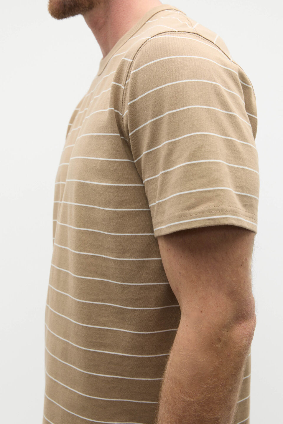 Crew Stripe Tee  Biscotti Stripe