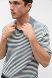 Contrast Stripe Knit Polo  Storm Blue  hi-res