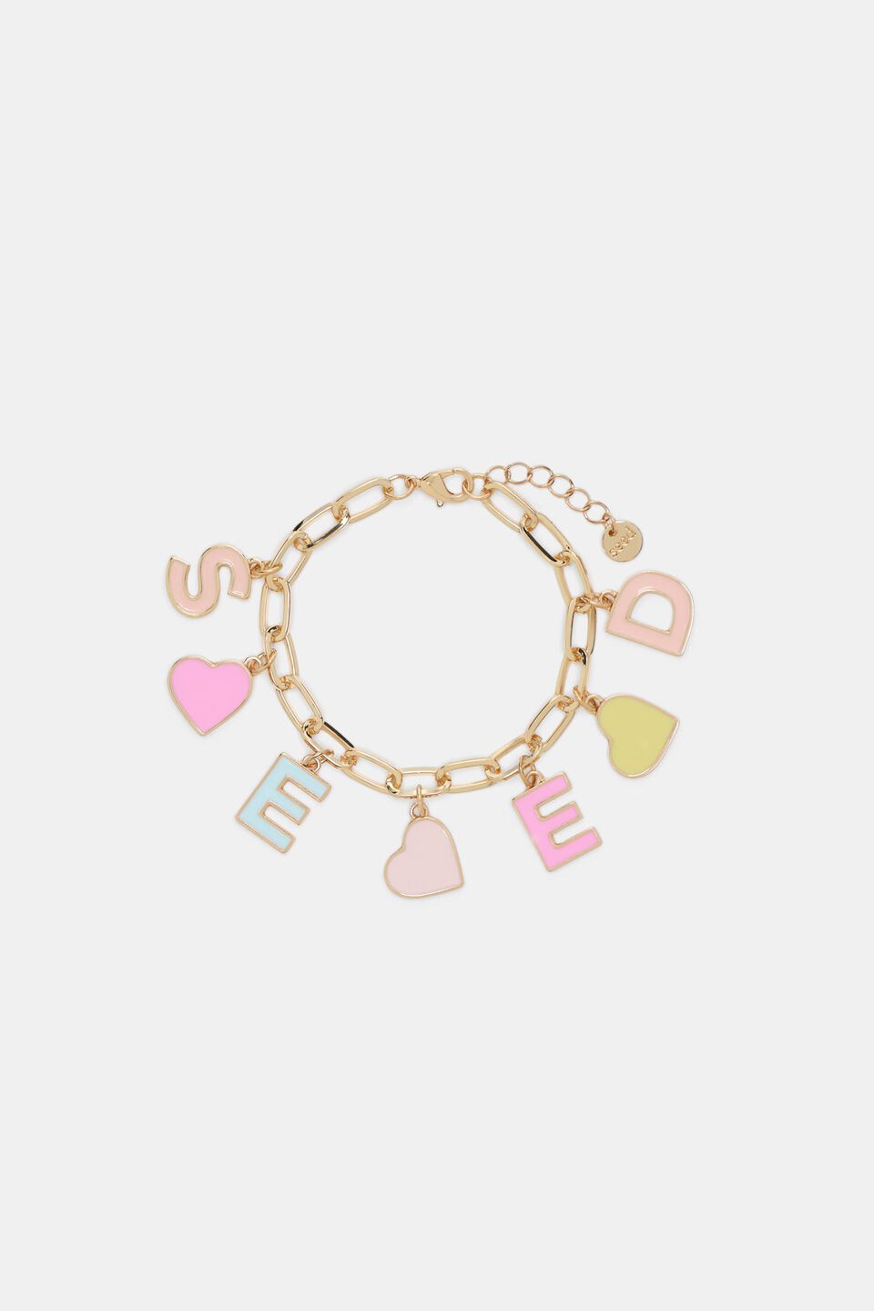 Seed Charm Bracelet  Multi