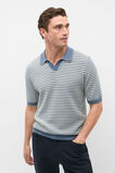Contrast Stripe Knit Polo  Storm Blue  hi-res