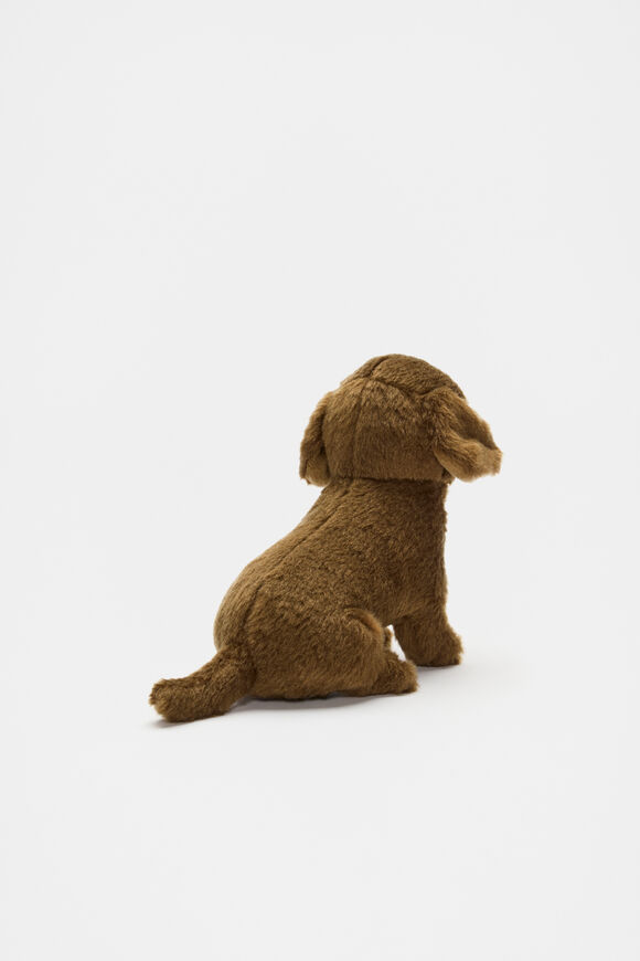 Dachshund Puppy  Brown  hi-res