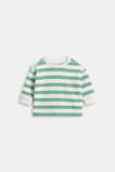 Stripe Sweat  Evergreen Stripe  hi-res