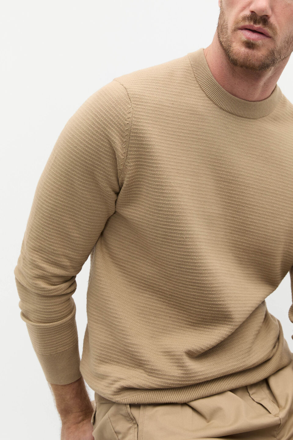 Ribbed Textured Knit  Biscotti