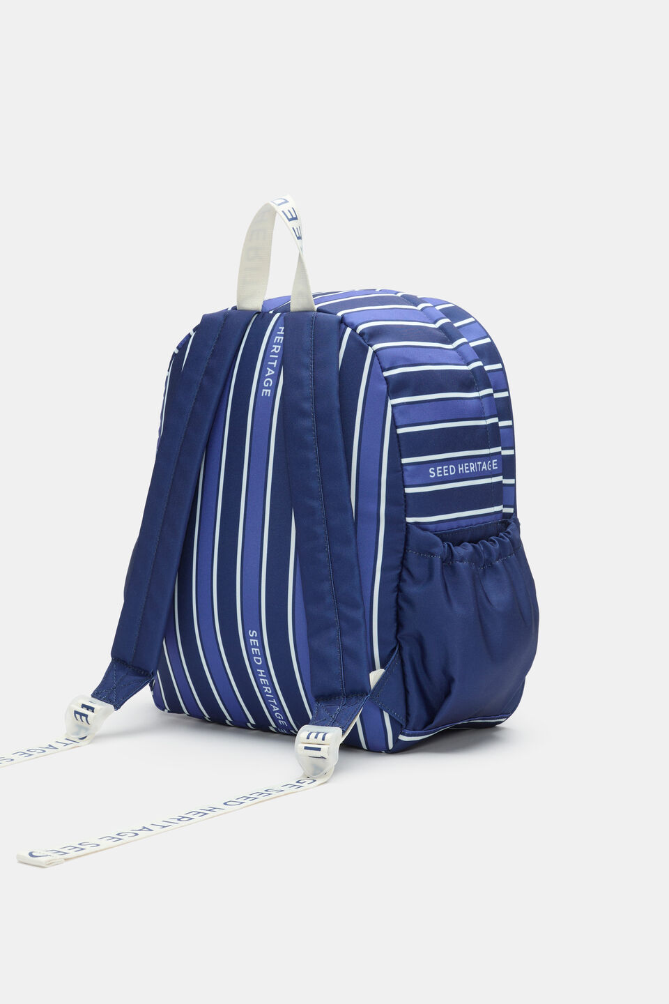 Stripe Backpack  Blue Multi