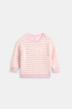 Logo Stripe Knit  Posie Stripe  hi-res