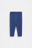 Knit Pant  Navy  hi-res