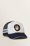 Lion Cap    hi-res