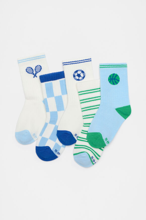 Sport Sock 5 Pack  Multi  hi-res