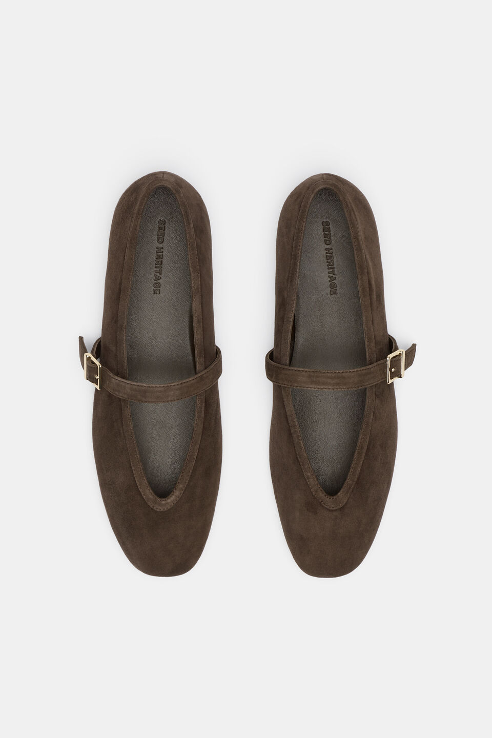 Arlo Ballet Flat  Chocolate Suede