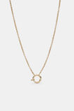The Charm Collection Necklace  Gold  hi-res