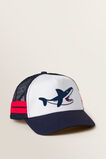 Shark Cap    hi-res