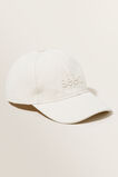 Seed Cap  Cloud Cream  hi-res