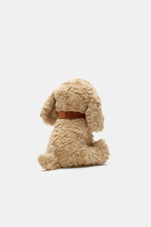 Keeleco Cavapoo  Multi  hi-res