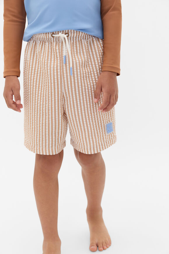 Textured Boardshort  Spice  hi-res