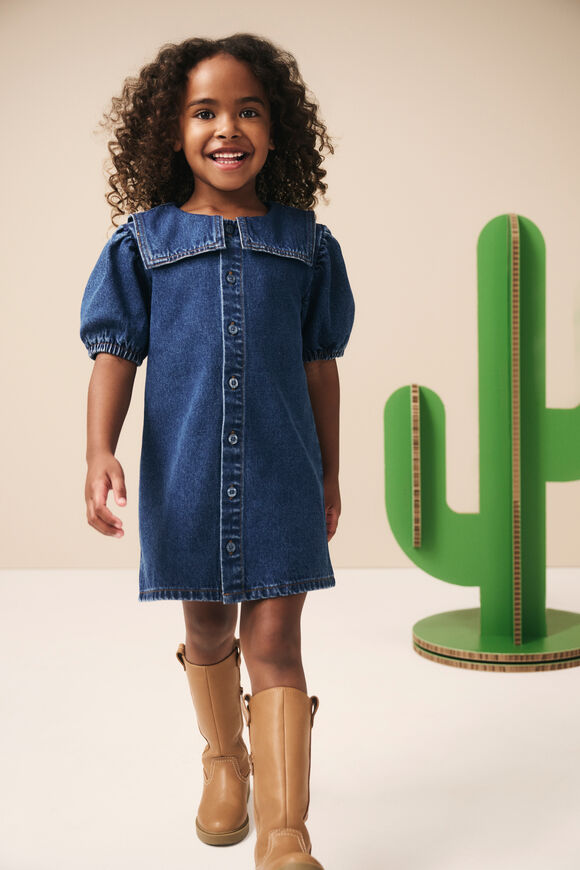 Collar Denim Dress  Indigo  hi-res