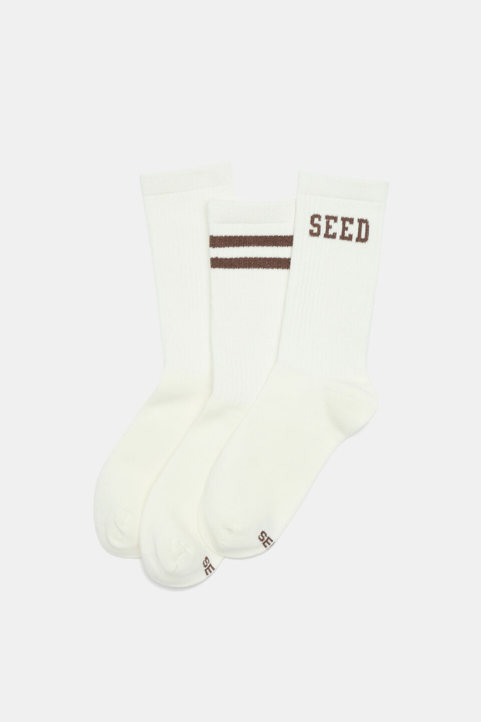 Teen Assorted 3 Pack Sock  Chocolate