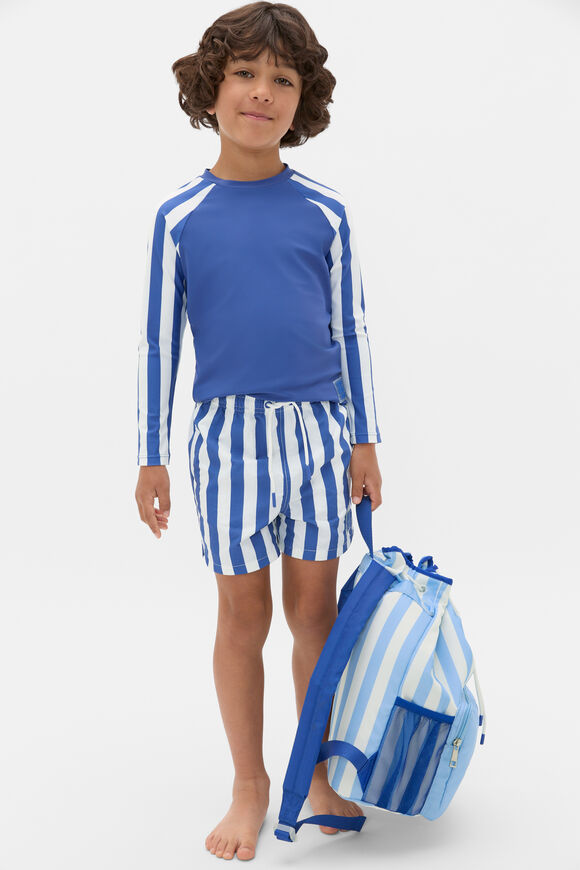 Stripe Boardshort  Retro Blue  hi-res