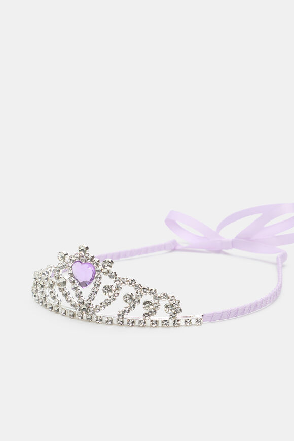 Tiara  Orchid  hi-res