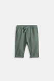 Core Logo Chino  Forest  hi-res